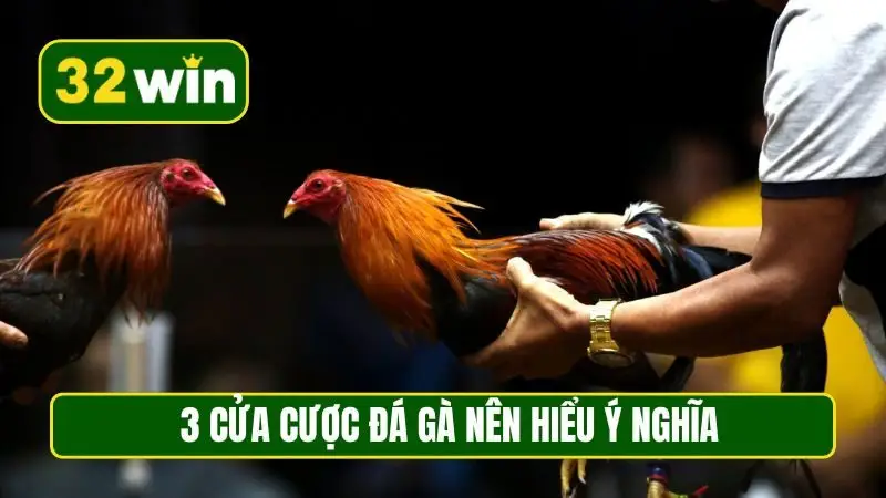 3 cửa cược đá gà nên hiểu ý nghĩa