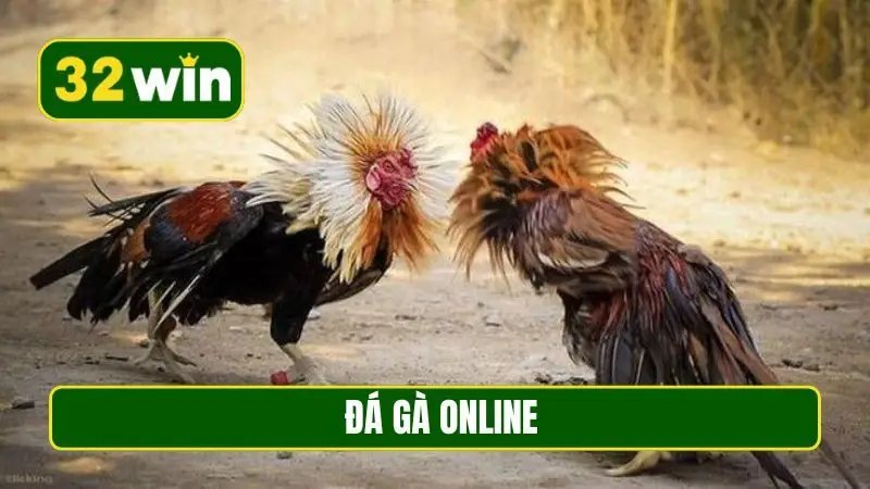 đá gà online