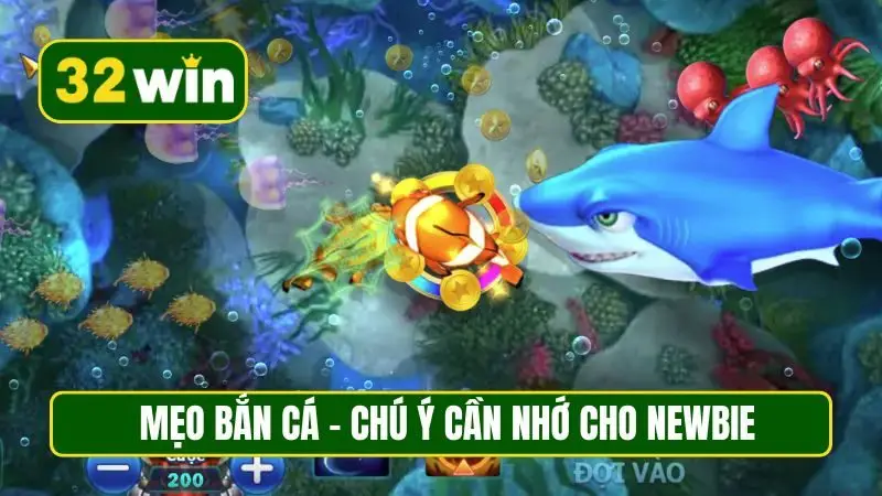 Mẹo bắn cá - Chú ý cần nhớ cho newbie