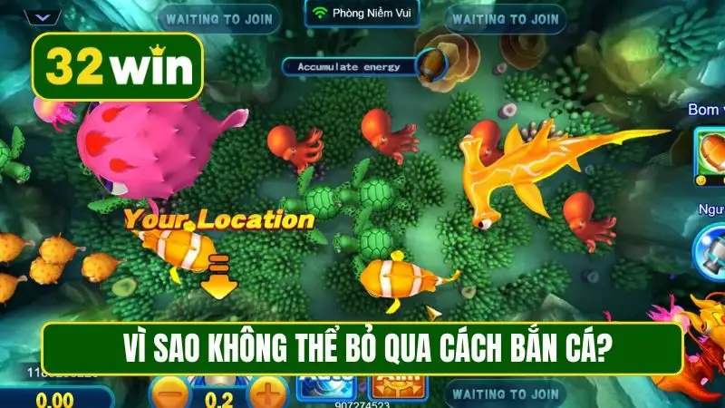 Vì sao không thể bỏ qua cách bắn cá?